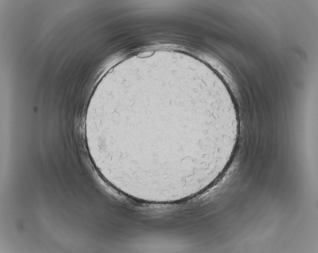 X0000111051193200908061511