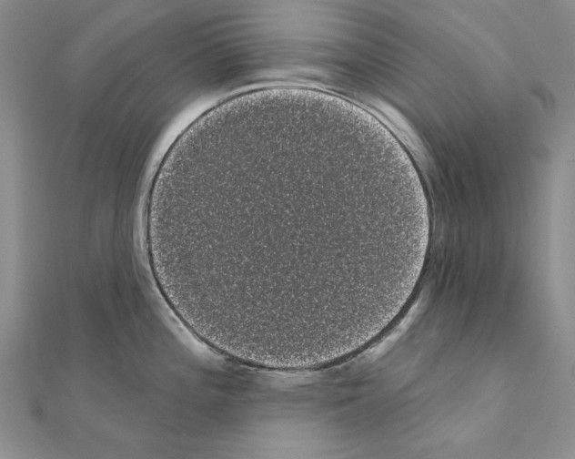 X0000111051196200908061511