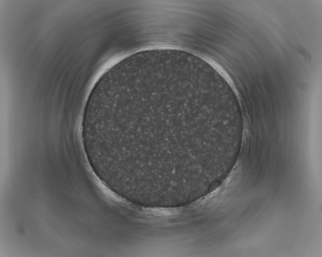 X0000111051197200908061511