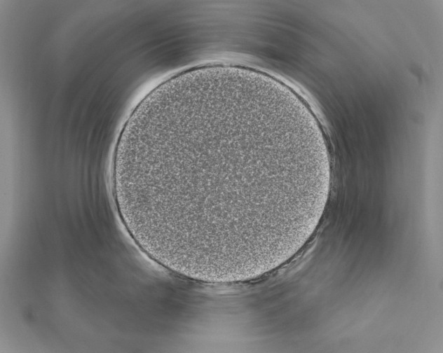 X0000111051199200908061511