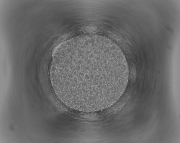 X0000111051201200908061510