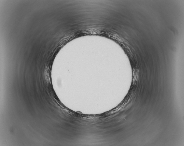 X0000111051202200908061510