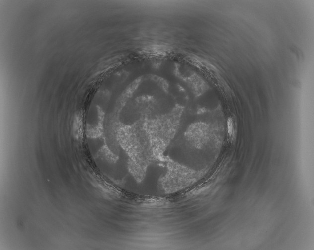 X0000111051203200908061510