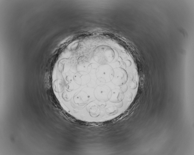 X0000111051205200908061510