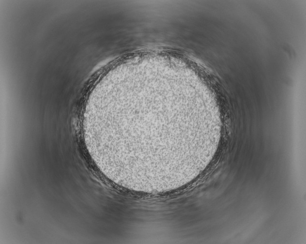 X0000111051206200908061510