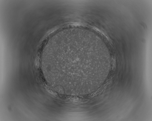 X0000111051207200908061510