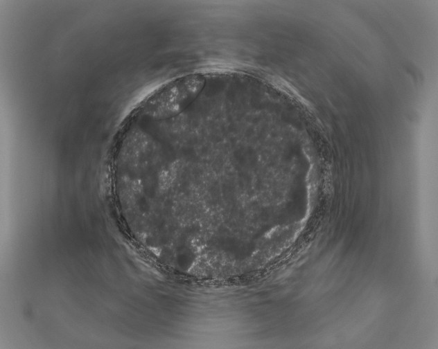 X0000111051208200908061510