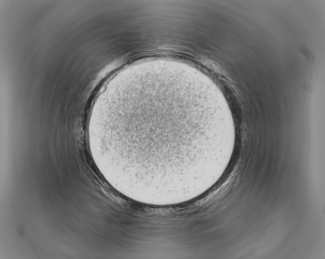 X0000111051210200908061510