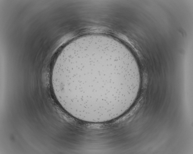 X0000111051211200908061511