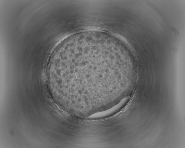 X0000111051212200908061511