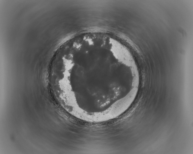 X0000111051213200908061511