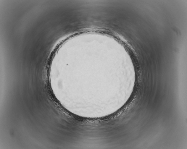 X0000111051214200908061511