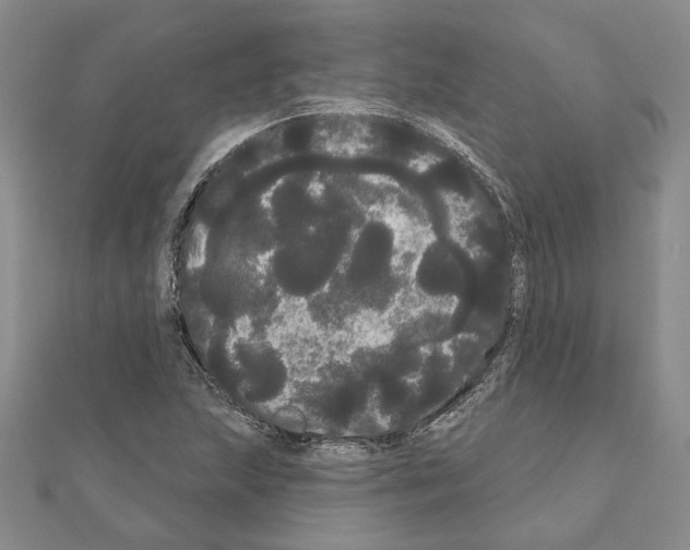 X0000111051215200908061511