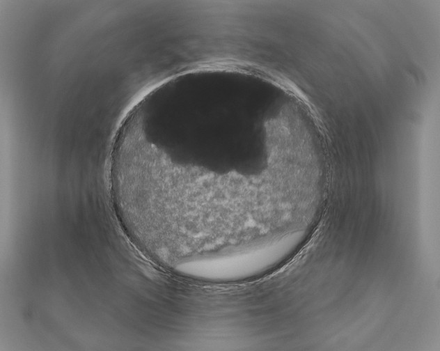 X0000111051216200908061511