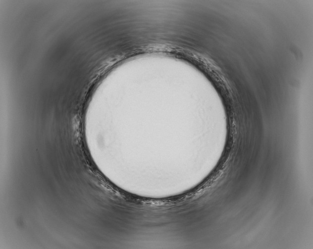 X0000111051217200908061511