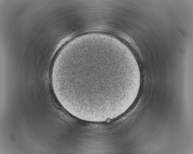 X0000111051218200908061511