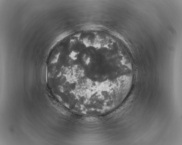 X0000111051219200908061511