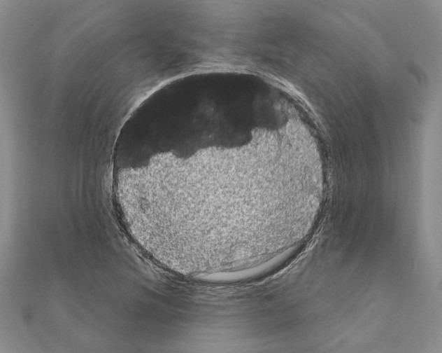 X0000111051220200908061511