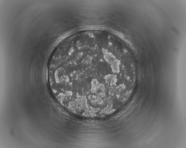 X0000111051221200908061511