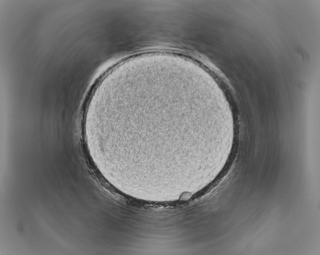 X0000111051222200908061511