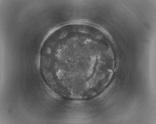 X0000111051224200908061511