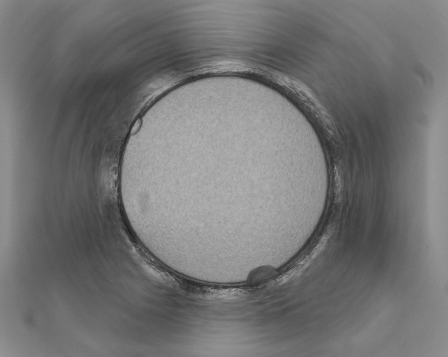 X0000111051225200908061511