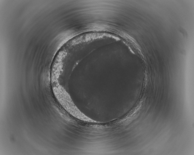 X0000111051226200908061511