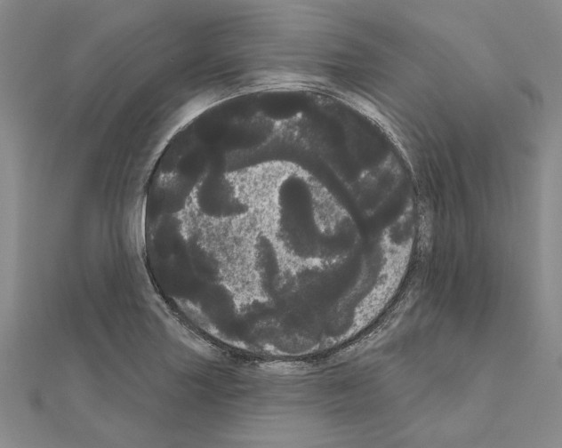 X0000111051227200908061511