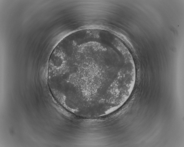 X0000111051228200908061511