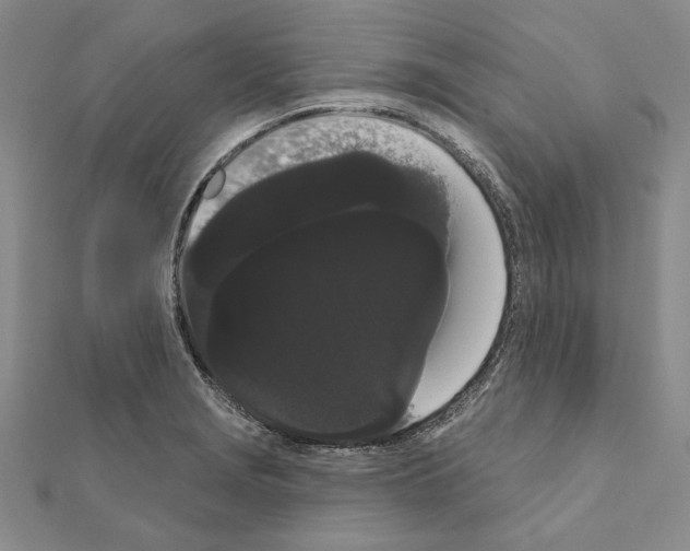 X0000111051229200908061511