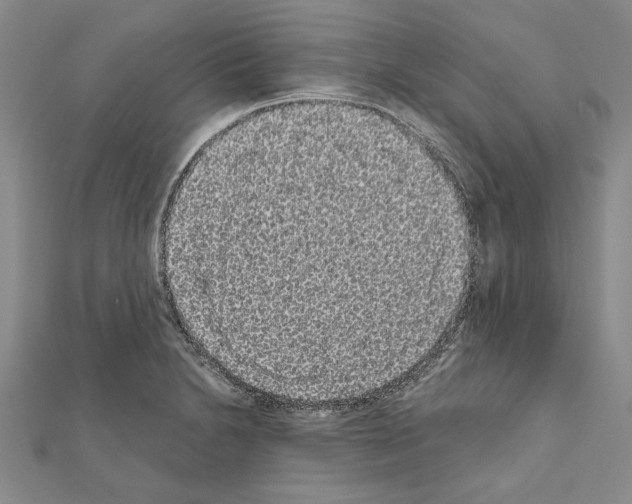 X0000111051230200908061511