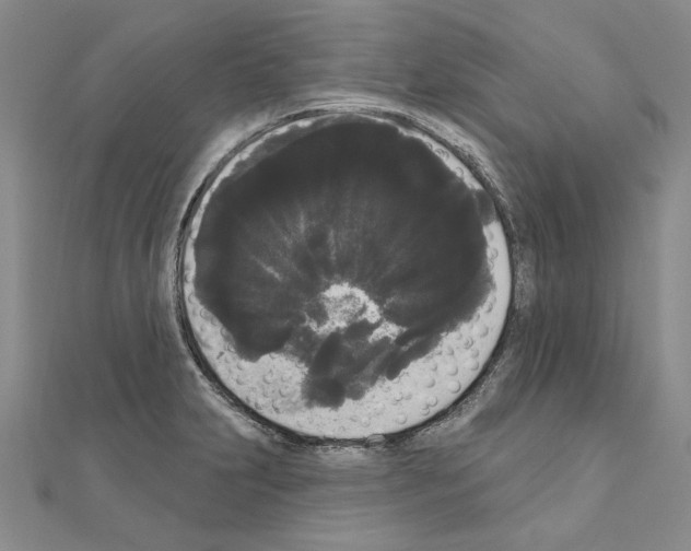 X0000111051231200908061511