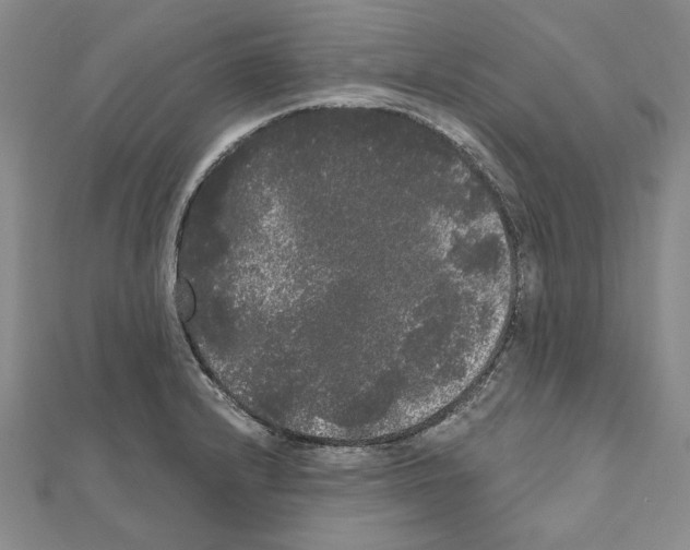 X0000111051232200908061511