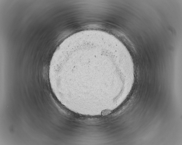 X0000111051233200908061511