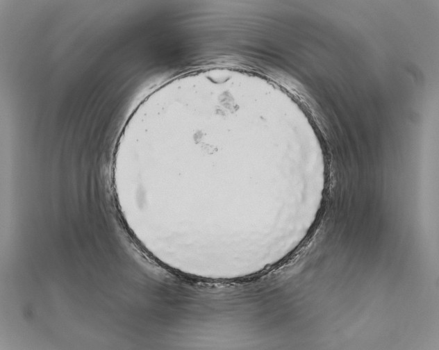 X0000111051234200908061511