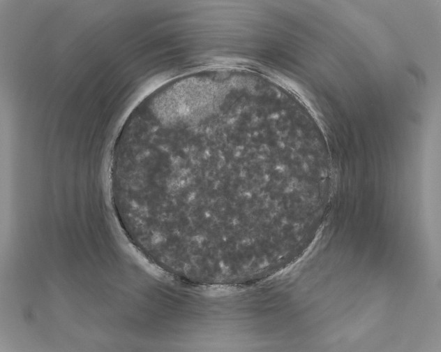 X0000111051235200908061511