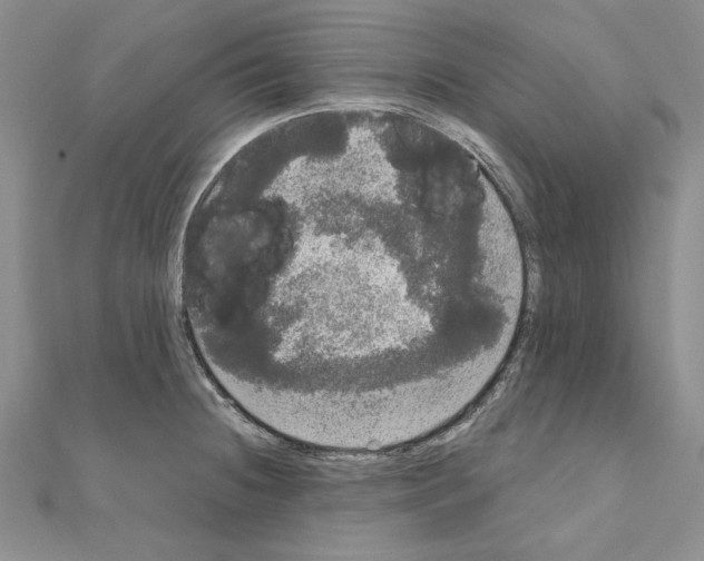 X0000111051236200908061511