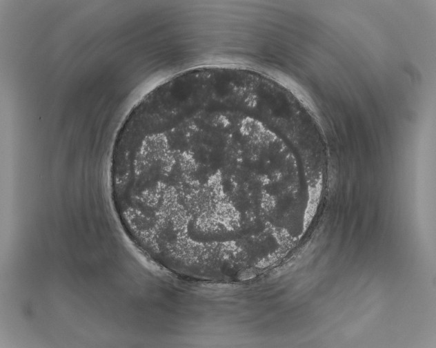 X0000111051237200908061511