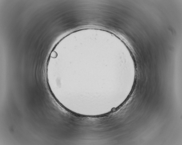 X0000111051238200908061511