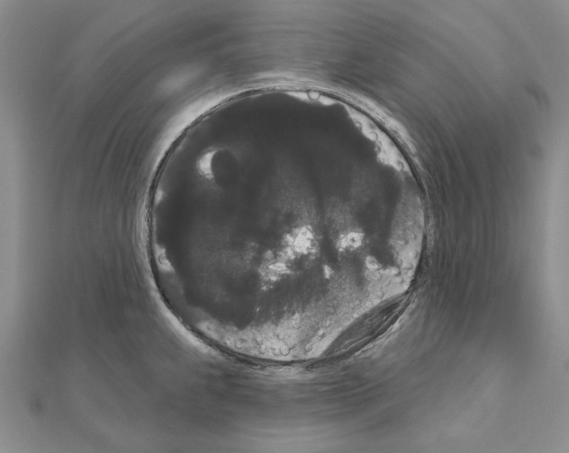 X0000111051239200908061511