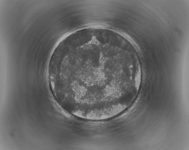 X0000111051240200908061511