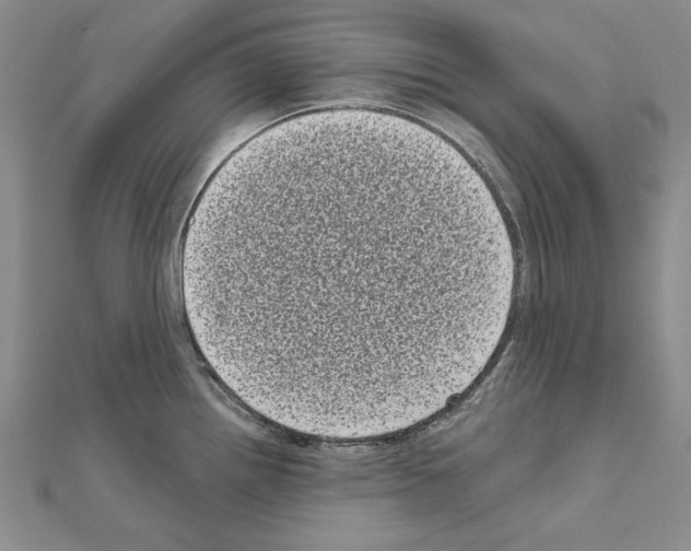 X0000111051242200908061511