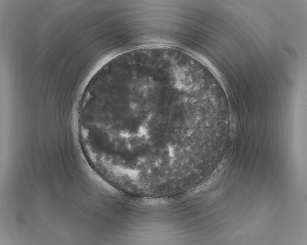 X0000111051243200908061511