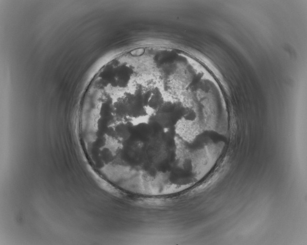 X0000111051245200908061511