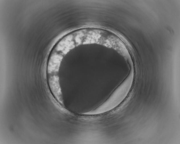 X0000111051246200908061511