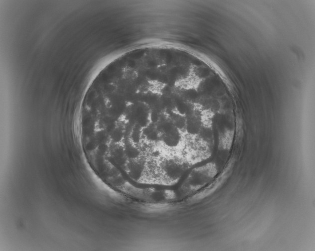 X0000111051247200908061511