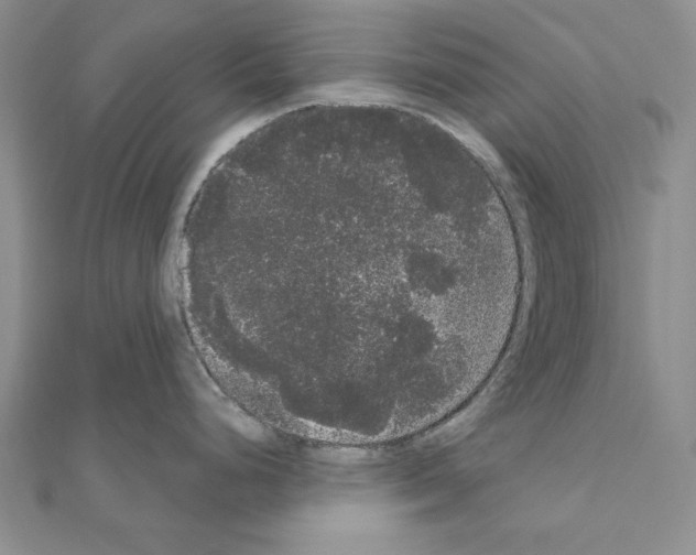 X0000111051248200908061511