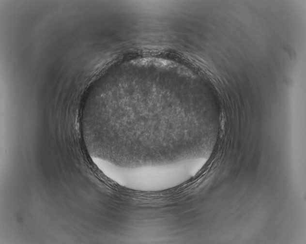 X0000111051252200908061510