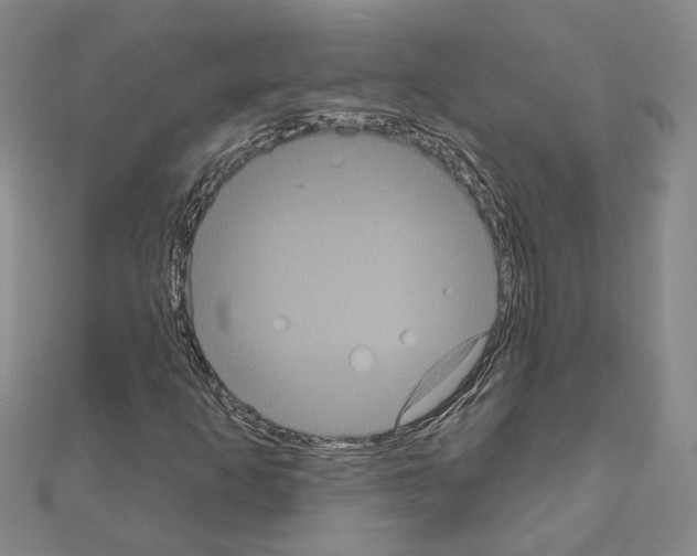 X0000111051253200908061510