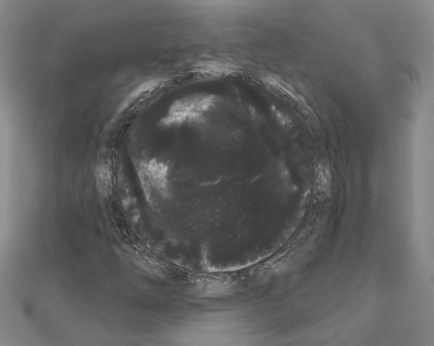 X0000111051254200908061510